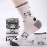 Conjunto de 5 Pares de Meias com Estampa de Gatos