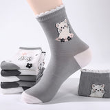 Conjunto de 5 Pares de Meias com Estampa de Gatos