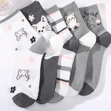 Conjunto de 5 Pares de Meias com Estampa de Gatos