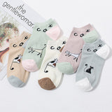 Conjunto de 5 Pares de Meias com Estampa de Gatos
